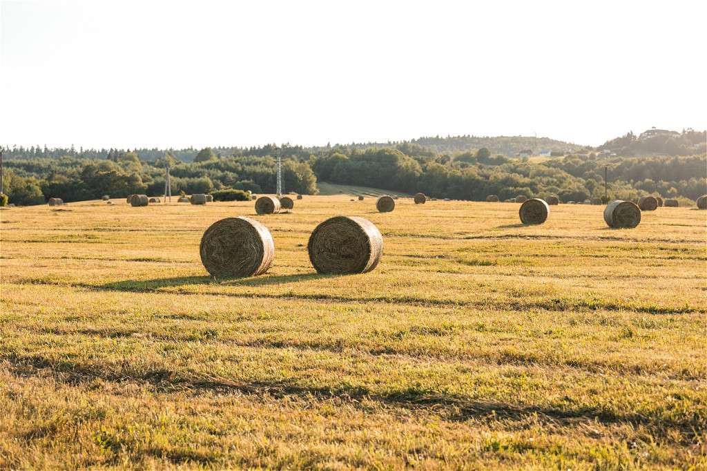 Ile kosztuje prasa zwijająca John Deere. Od czego zależy cena używanej maszyny?